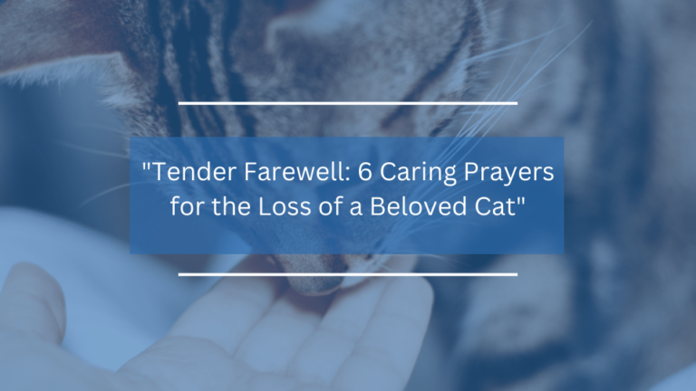 6 Caring Prayers for the Loss of a Beloved Cat