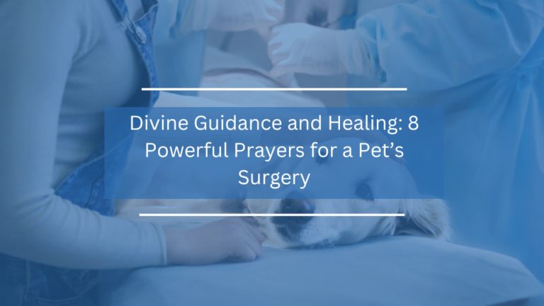 8 Powerful Prayers for a Pet’s Surgery